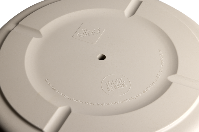 june tulip 58cm balanced beige